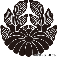 Chrysanthemum67