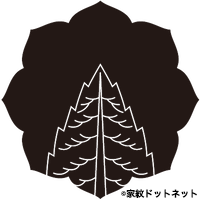 Japanese red cedar11
